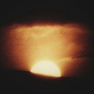 Meet your Posher, Amani